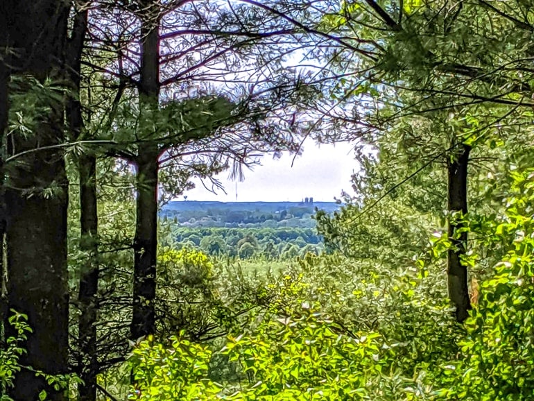 church tower through green forest in distance at starkey hill conservation area.