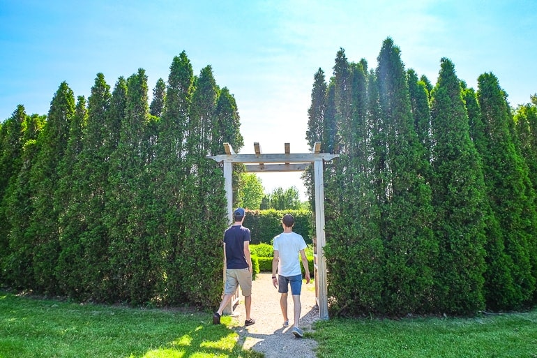 two guys walking through wooden gate in tall hedges.